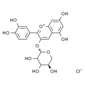 Solarbio SC6100 矢车菊素-3-O-木糖苷 标准品
