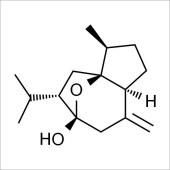 Solarbio SC8680 莪术醇 标准品