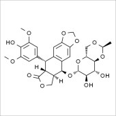 Solarbio SE8700 依托泊苷 标准品
