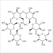 Solarbio SM8430 麦芽六糖 标准品