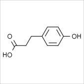 Solarbio SP9050 Phloretic acid 对羟基苯丙酸 标准品