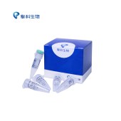 TSINGKE H05083 SLC4A2 6522 Primer