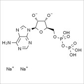 Solarbio SA9500 ADPNa2 二磷酸腺苷二钠 标准品