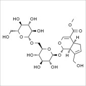 Solarbio SG8880 京尼平龙胆双糖苷 标准品