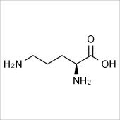 Solarbio SO8470 L-鸟氨酸 标准品