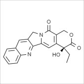 Solarbio SC8970 喜树碱 标准品
