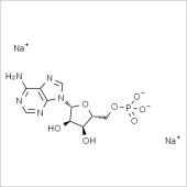 Solarbio SA9510 AMPNa2 5-单磷酸腺苷二钠 标准品
