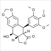 Solarbio SP8400 鬼臼毒素 标准品