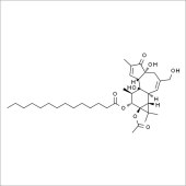 Solarbio SP9830 佛波酯 标准品