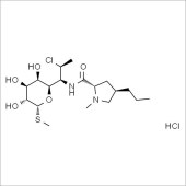 Solarbio SC5050 盐酸克林霉素 标准品