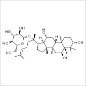 Solarbio SG8240 人参皂苷F1 标准品