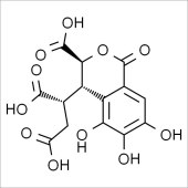 Solarbio SC6220 诃子次酸 标准品