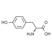 Solarbio ST4130 D-酪氨酸 标准品