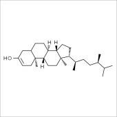 Solarbio SC8960 菜油甾醇 标准品