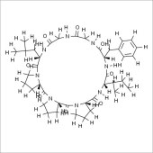 Solarbio SH8450 太子参环肽B 标准品