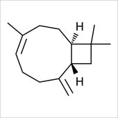 Solarbio SC6120 β-石竹烯 标准品