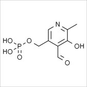 Solarbio SP5640 磷酸吡哆醛 标准品