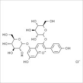 Solarbio SP9550 天竺葵素-3,5-葡萄糖苷 标准品