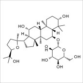 Solarbio SP8640 拟人参皂苷RT5 标准品
