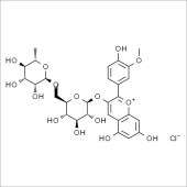 Solarbio SP9340 芍药素-3-O-芸香糖苷 标准品