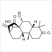 Solarbio SG9090 蓝萼甲素 标准品