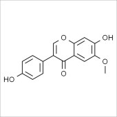 Solarbio SG8570 黄豆黄素 标准品