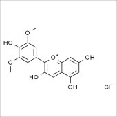 Solarbio SM8300 氯化锦葵素 标准品