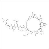 Solarbio SB8780 杆菌肽 标准品
