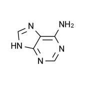 Solarbio SA8710 Adenine 腺嘌呤 标准品