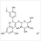 Solarbio SP9470 芍药素-3-O-葡萄糖苷 标准品