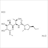 Solarbio SL8890 盐酸林可霉素一水合物 标准品