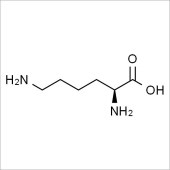 Solarbio SL8330 L-赖氨酸 标准品