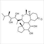 Solarbio SB8360 24-表油菜素内酯 标准品