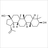 Solarbio SB8180 Betulin 白桦脂醇 标准品