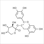 Solarbio SC9680 矢车菊素阿拉伯糖苷 标准品