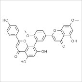Solarbio SG8940 银杏双黄酮 标准品