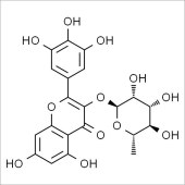 Solarbio SM8400 Myricetrin 杨梅苷 标准品