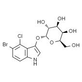 Solarbio B8050 X-α-gal α-半乳糖苷酶显色底物