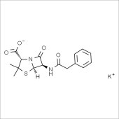 Solarbio SP9870 青霉素G钾 标准品