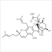 Solarbio SG8780 藤黄酸 标准品