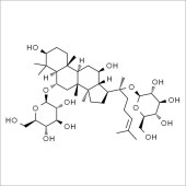 Solarbio SG8330 人参皂苷Rg1 标准品