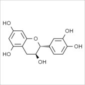 Solarbio SC9800 DL-儿茶素 标准品