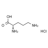 Solarbio SO8420 L-鸟氨酸盐酸盐 标准品