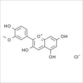 Solarbio SP8960 氯化芍药素 标准品