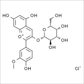 Solarbio SP5700 芍药素-3-O-半乳糖苷 标准品