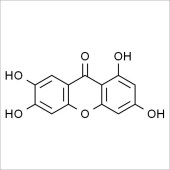 Solarbio SN9010 芒果苷元 标准品