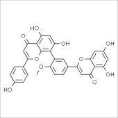 Solarbio SB8520 7-去甲基银杏双黄酮 标准品