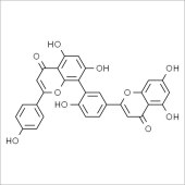 Solarbio SA8230 Amentoflavone 穗花杉双黄酮 标准品