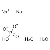 Solarbio SS5560 二水合磷酸氢二钠 标准品