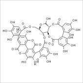 Solarbio SP8700 安石榴苷 标准品